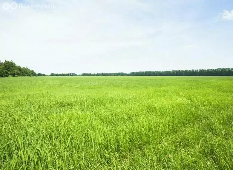 Участок в Усть-Абаканский район, посёлок Тепличный (10 м) - Фото 0