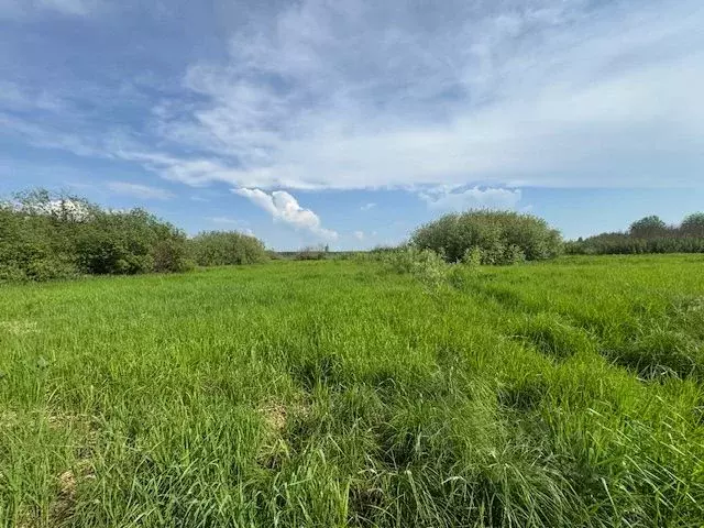 Участок в Московская область, Воскресенск городской округ, д. ... - Фото 1