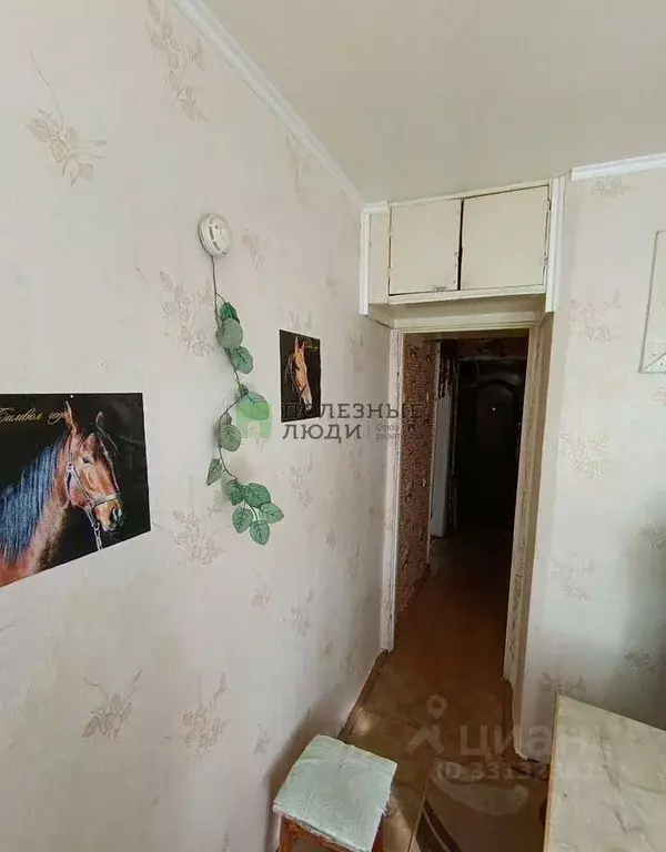 1-к кв. Белгородская область, Строитель Яковлевский городской округ, ... - Фото 1