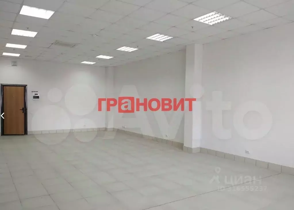 Офис в Новосибирская область, Новосибирск ул. Ленина, 21/1к2 (59 м) - Фото 1