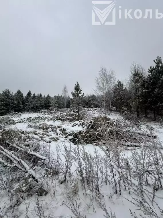 Участок в Иркутская область, Иркутский муниципальный округ, с. ... - Фото 0