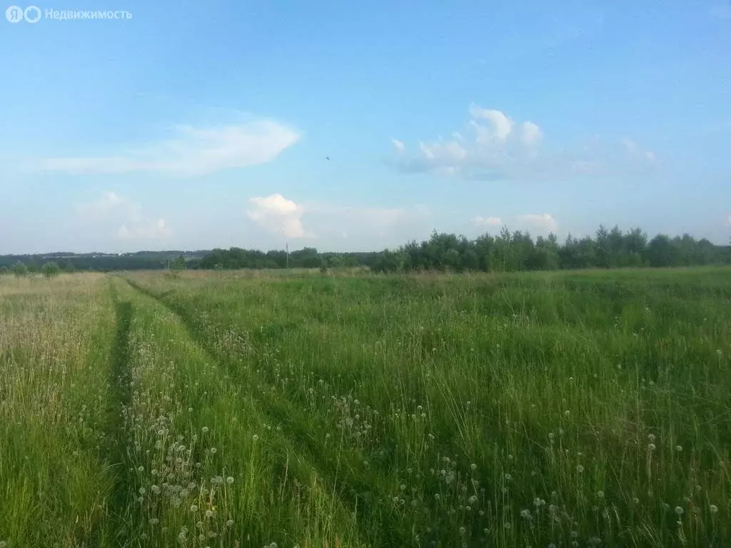 Участок в Владимирская область, Юрьев-Польский муниципальный округ, ... - Фото 1