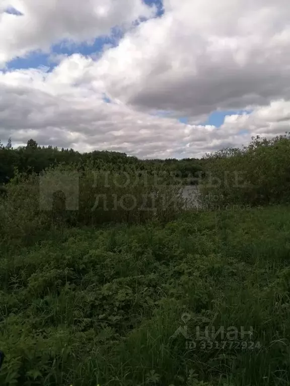Участок в Новгородская область, Маловишерский муниципальный округ, ... - Фото 1