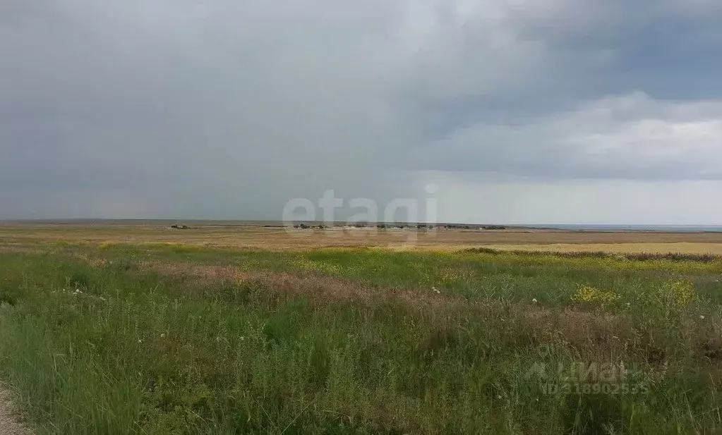 Участок в Крым, Ленинский район, Батальненское с/пос, с. Южное ул. ... - Фото 1