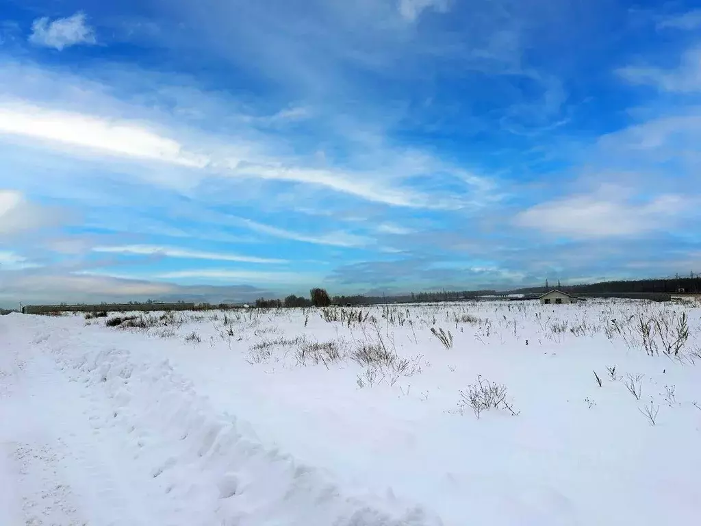 Участок, 6.8 сот., поселения (ижс) - Фото 2