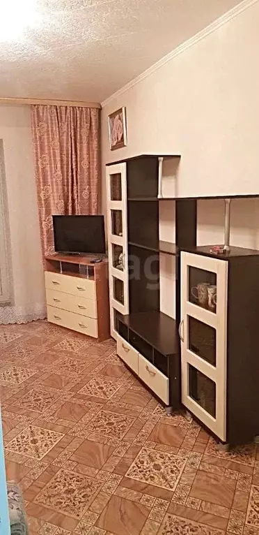 Студия Амурская область, Благовещенск Новая ул., 4 (27.0 м) - Фото 1