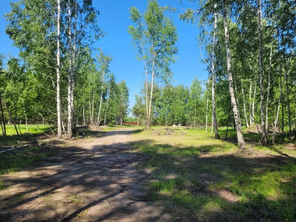 Погода чертовицы воронежской. Село Чертовицы Воронежская область.