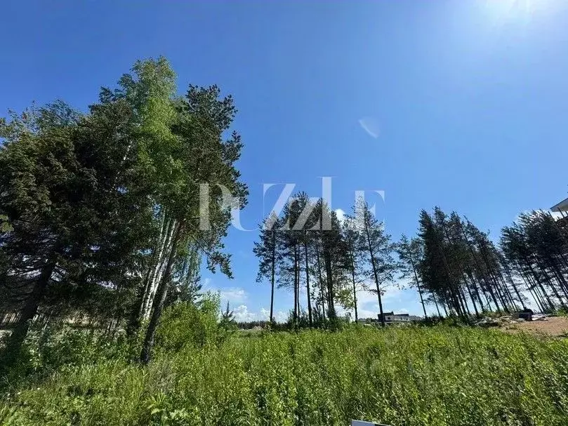 Участок в Ленинградская область, Всеволожский район, Бугровское ... - Фото 1