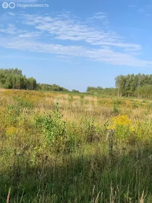 Участок в Нижегородская область, Кстовский муниципальный округ, село ... - Фото 0