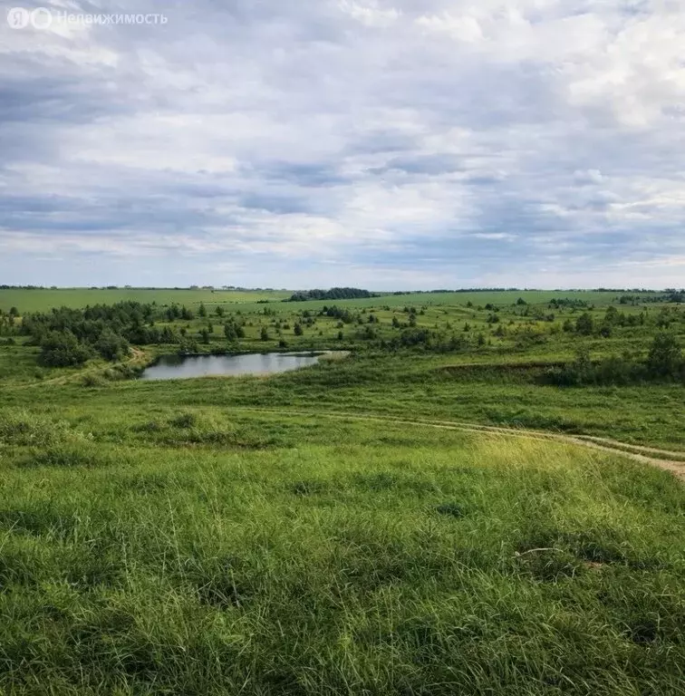 Дом в село Доскино, Центральная улица, 94 (20 м) - Фото 1