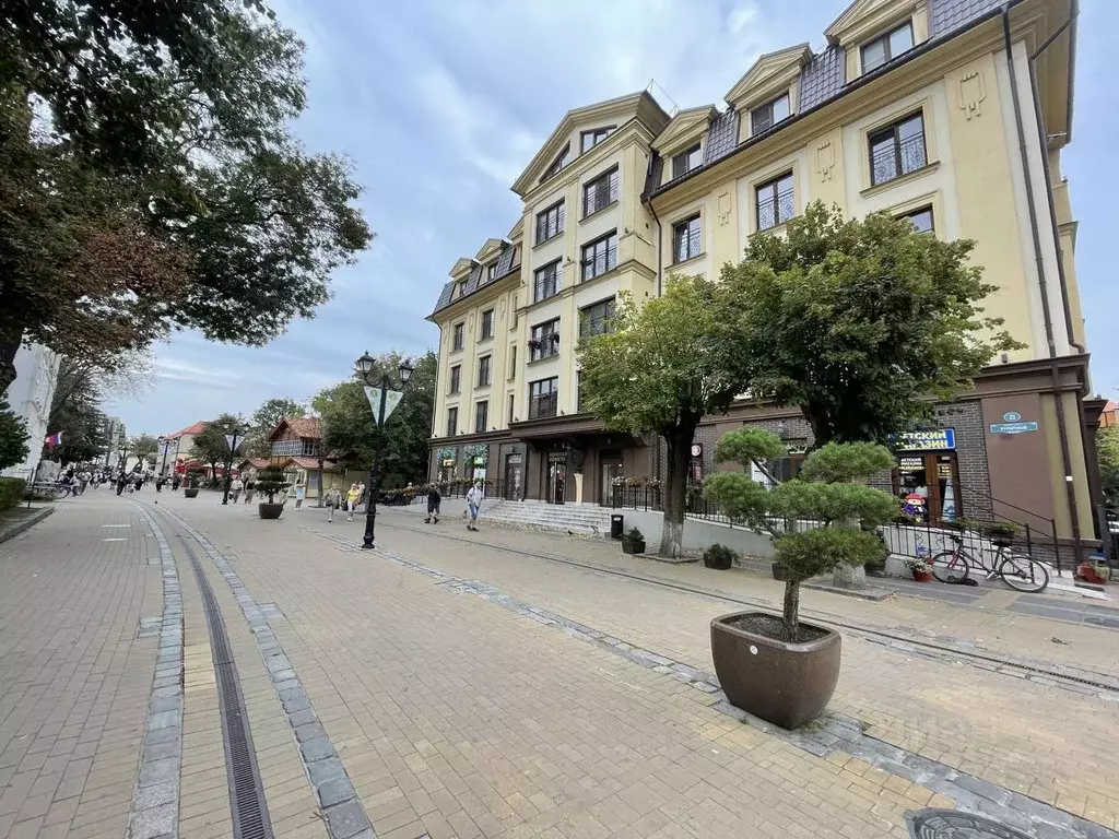 2-к кв. Калининградская область, Зеленоградск Курортный просп., 21 ... - Фото 2