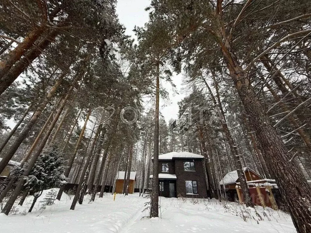 Дом в Тюменская область, Нижнетавдинский муниципальный округ, с. ... - Фото 1