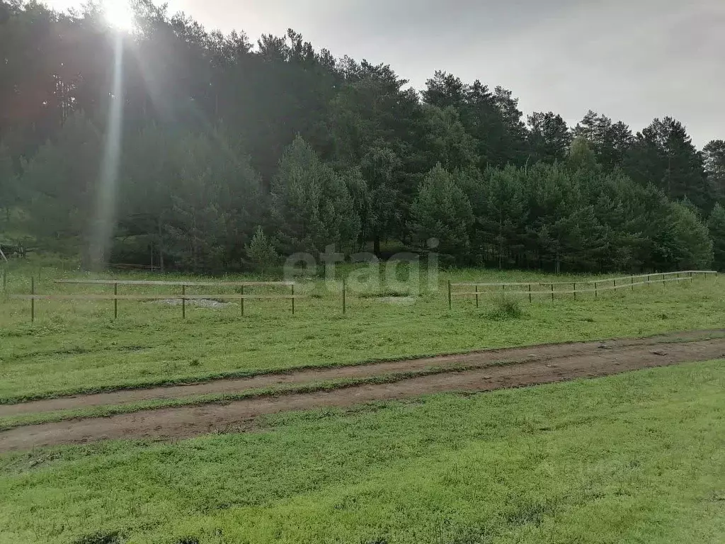 Участок в Алтай, Чемальский район, Узнезинское с/пос, с. Узнезя  (26.8 ... - Фото 1