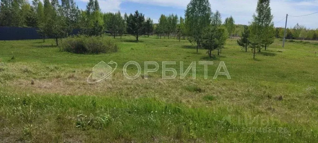 Участок в Тюменская область, Нижнетавдинский район, Царицыно СНТ  (7.0 ... - Фото 0