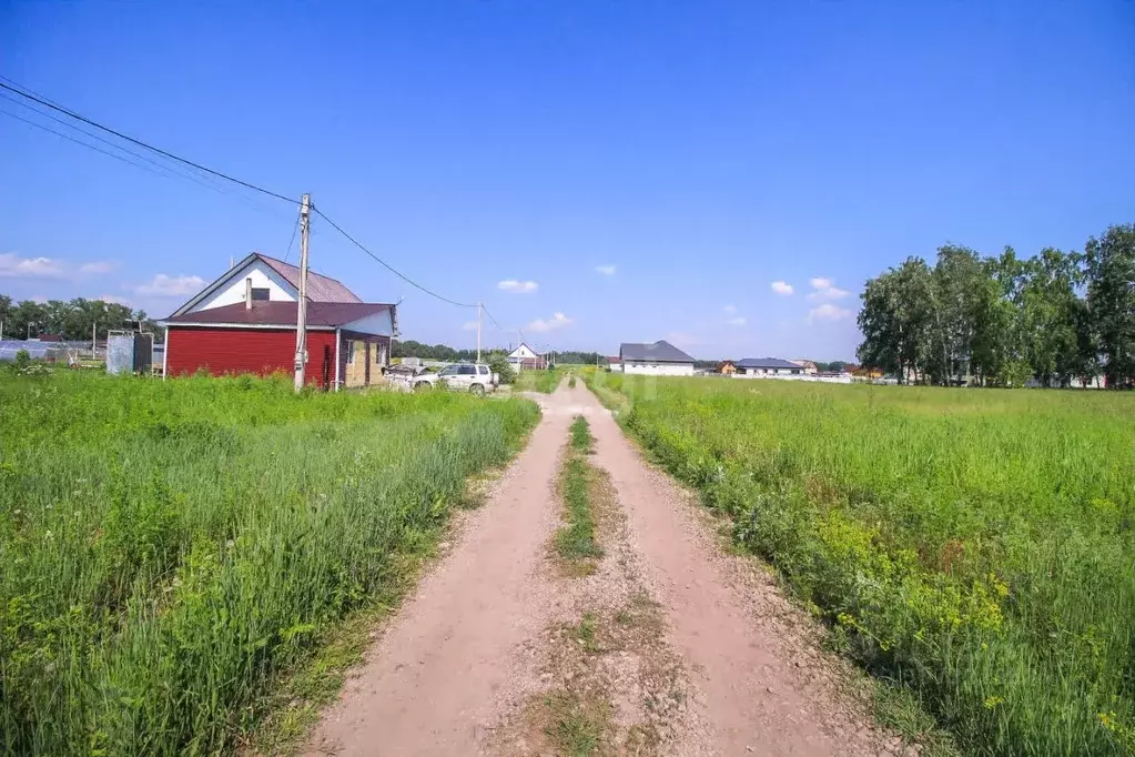 Участок в Алтайский край, Павловский район, П. Молодежный ДНТ  (100.0 ... - Фото 0