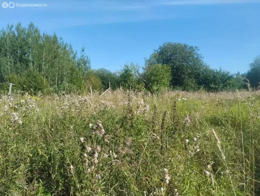 Участок в Вологодская область, Кирилловский муниципальный округ, ... - Фото 2