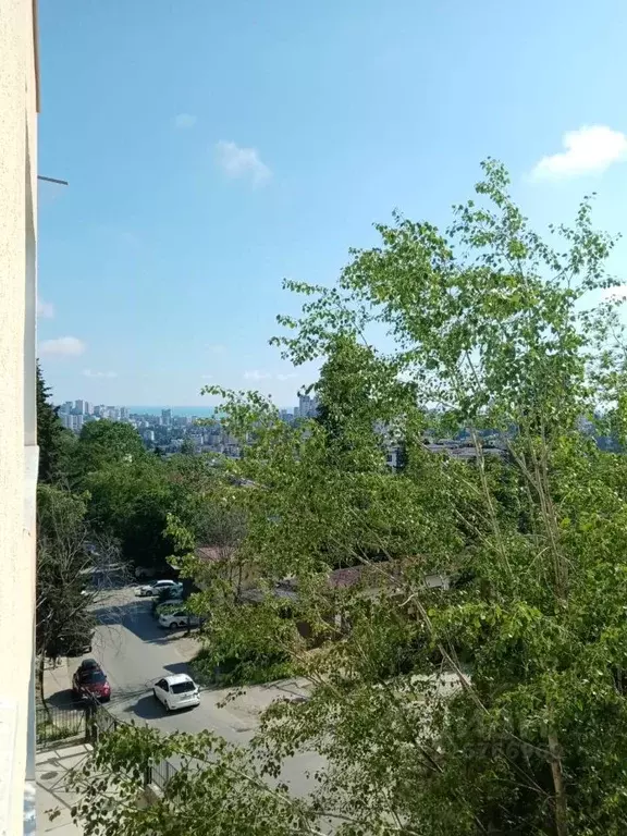 2-к кв. Краснодарский край, Сочи Донская мкр, ул. Пасечная, 30 (55.0 ... - Фото 2