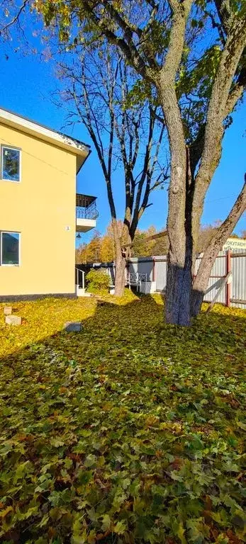 2-к кв. Ленинградская область, Выборг ул. 1-я Бригадная, 28 (45.0 м) - Фото 0