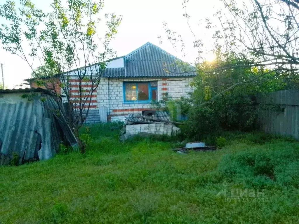 Дом в Белгородская область, Поселок Чернянка городское поселение, ... - Фото 0