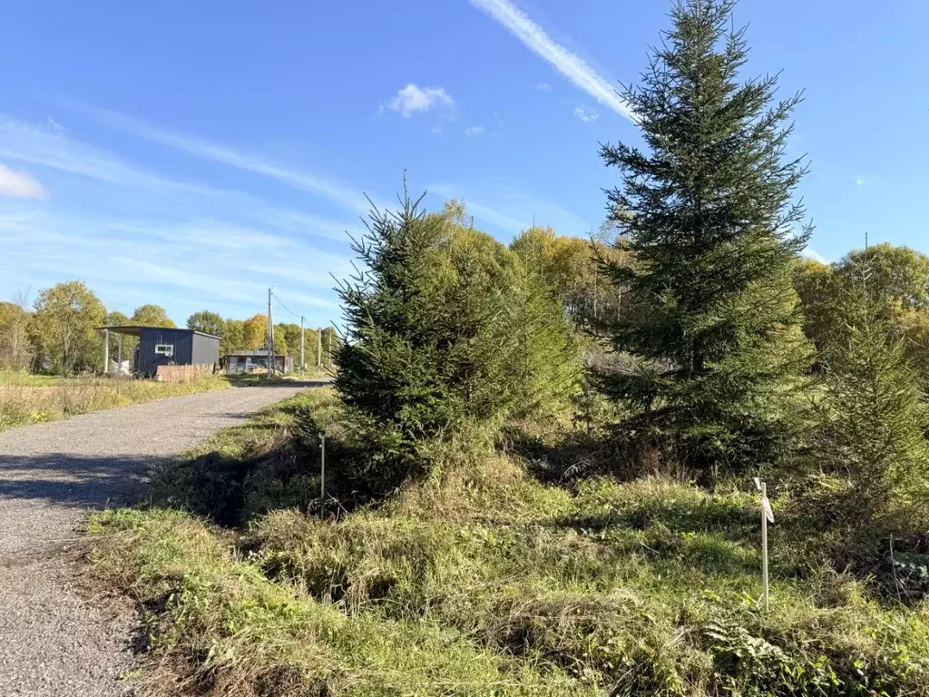 Участок в Московская область, Истра муниципальный округ, пос. ... - Фото 1