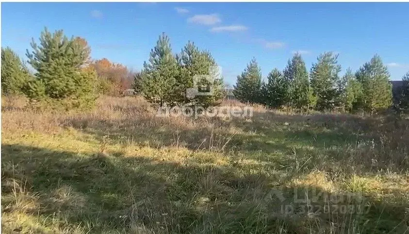 Участок в Свердловская область, Белоярский муниципальный округ, д. ... - Фото 1