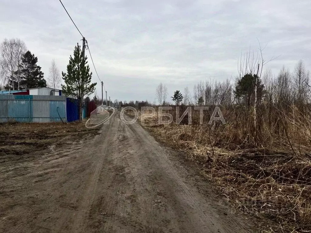 Участок в Тюменская область, Тюмень Ясень садовое товарищество, ул. ... - Фото 2
