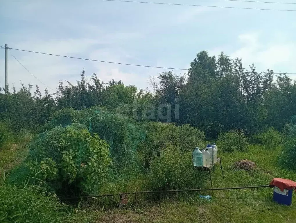 Участок в Новосибирская область, Искитимский район, Чернореченский ... - Фото 0
