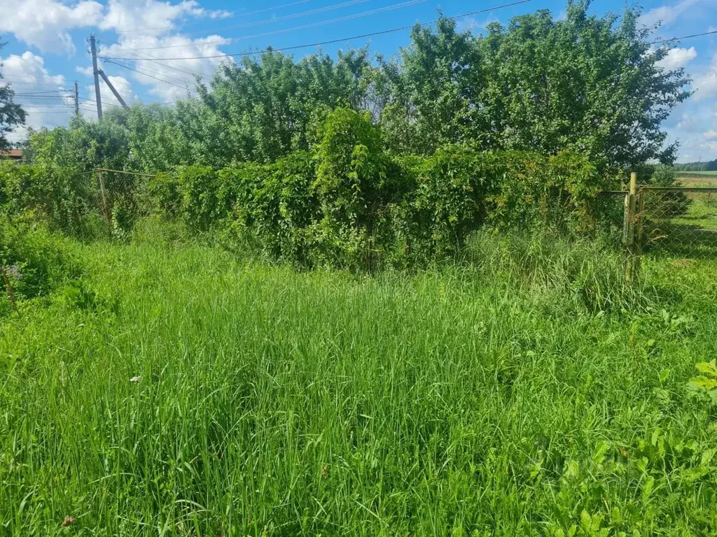 Участок в Московская область, Солнечногорск городской округ, д. ... - Фото 1