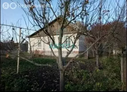 Дом в село Тростенец, улица Петрова (70.2 м) - Фото 1