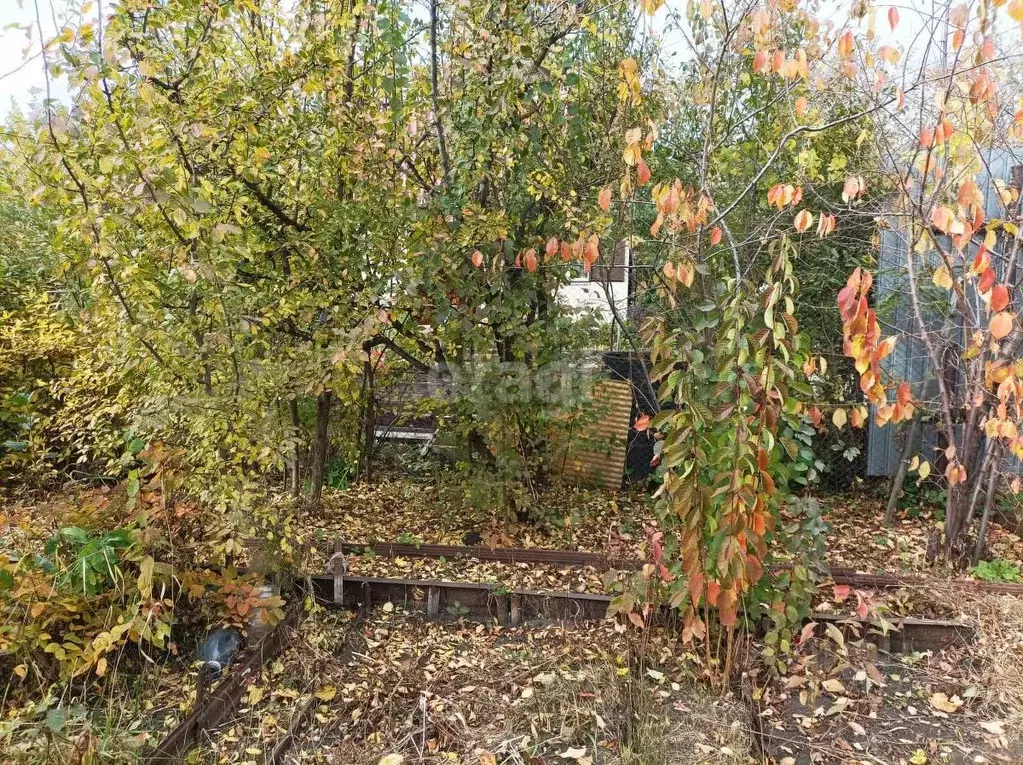 Дом в Челябинская область, Челябинск Тракторосад-2 садовое ... - Фото 0