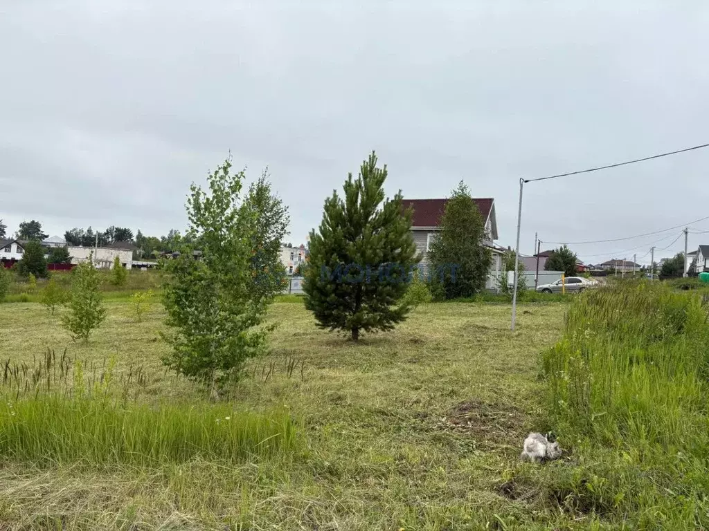 Участок в Нижегородская область, Богородский муниципальный округ, с. ... - Фото 0