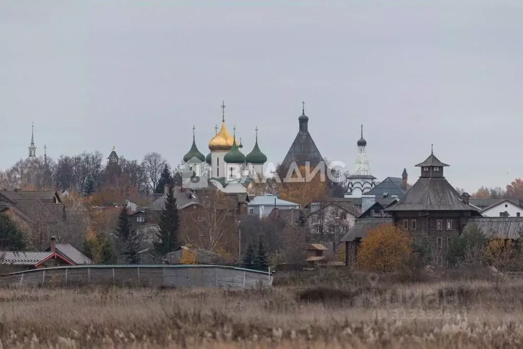 Участок в Владимирская область, Суздаль ул. Речная (15.79 сот.) - Фото 2