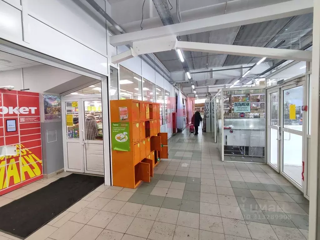 Торговая площадь в Челябинская область, Челябинск просп. ... - Фото 1