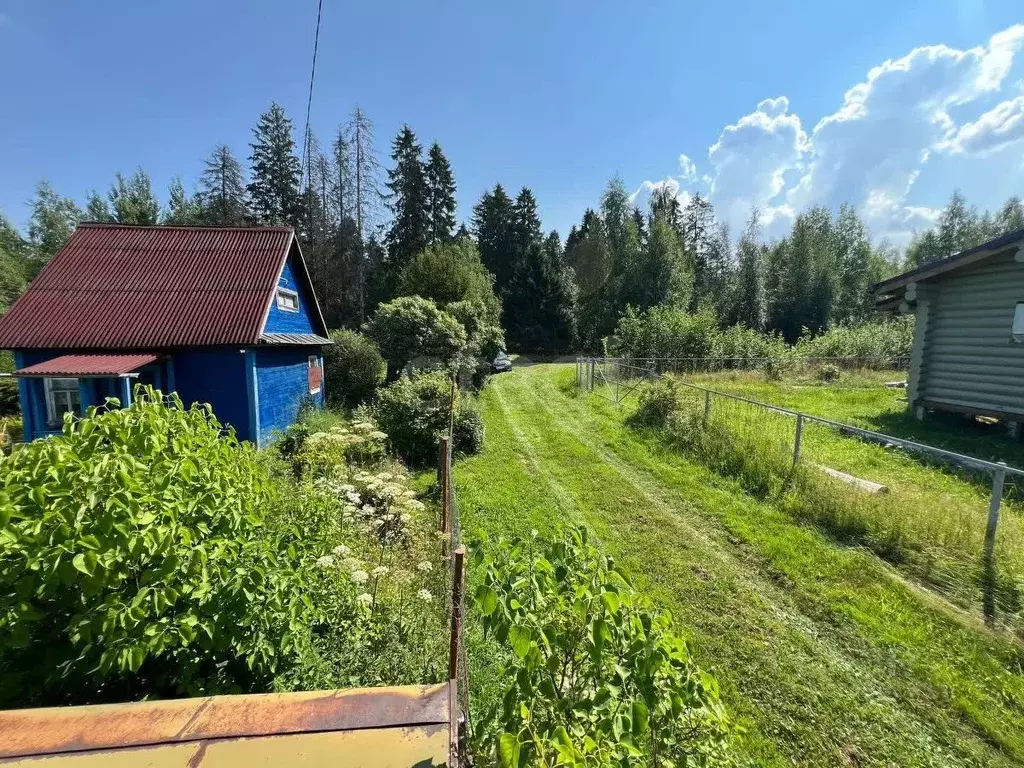 Дом в Вологодская область, Лиана садоводческое товарищество  (25 м) - Фото 1