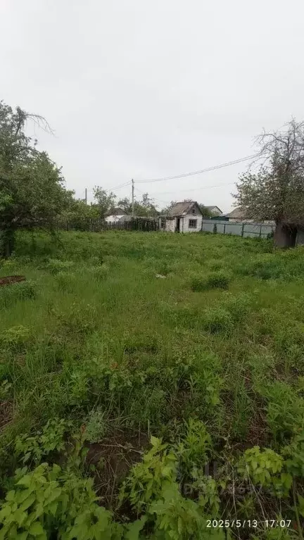 Участок в Самарская область, Тольятти Синтезкаучук СНТ,  (8.0 сот.) - Фото 1
