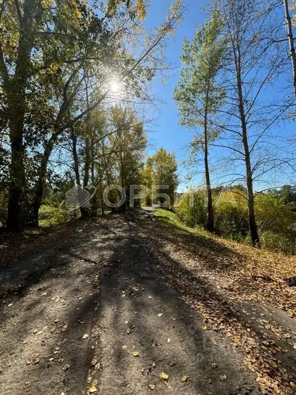 Участок в Тюменская область, Тюмень  (7.5 сот.) - Фото 1