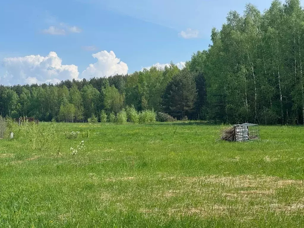 Участок в Московская область, Богородский городской округ, д. Тимково  ... - Фото 1