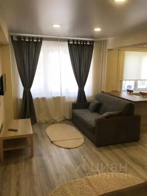 Студия Алтайский край, Белокуриха ул. Академика Мясникова, 16 (33.0 м) - Фото 0