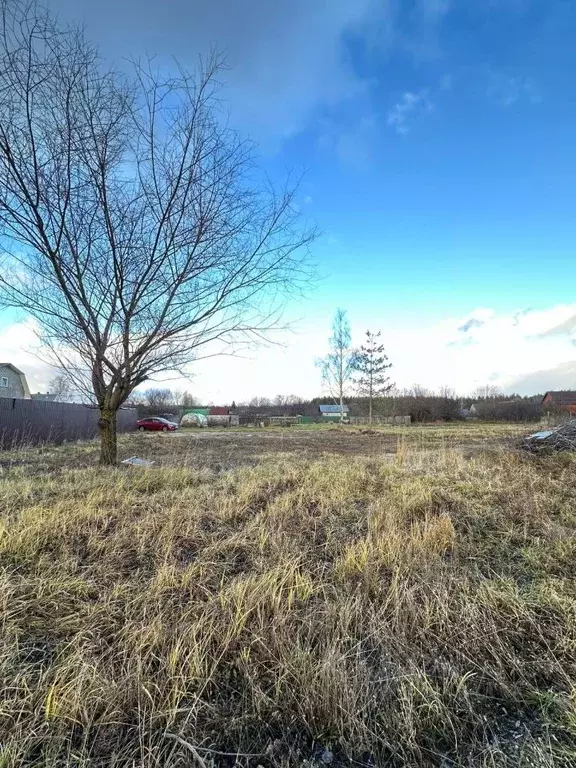 Участок в Московская область, Шатура городской округ, с. Филисово  ... - Фото 1