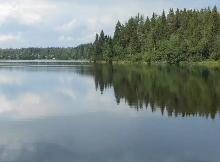 Участок в Костковское сельское поселение, садоводческое товарищество ... - Фото 0