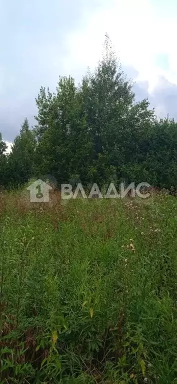 Участок 20 сот. (личное подсобное хозяйство (лпх)) - Фото 1