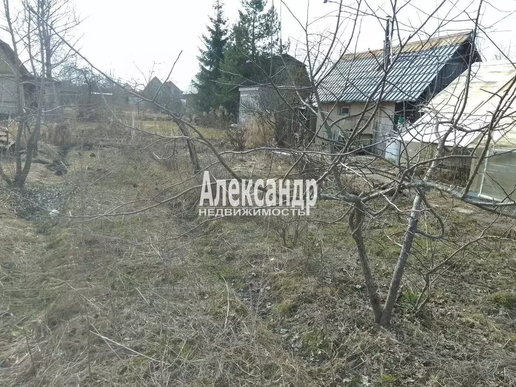 Участок в Ленинградская область, Волхов Труженик СНТ, ул. Боровинка ... - Фото 1