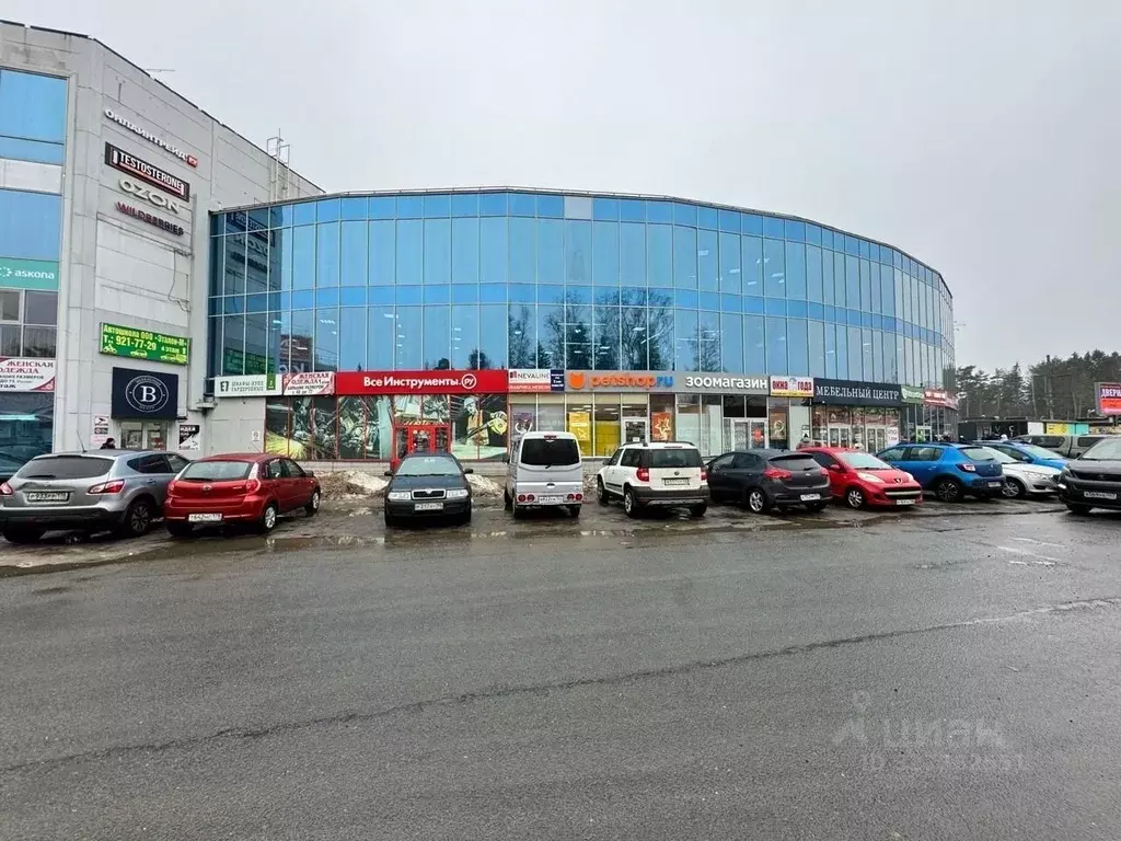 Помещение свободного назначения в Ленинградская область, Всеволожск ... - Фото 1