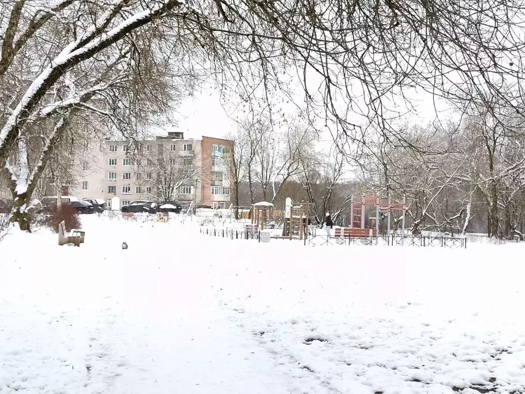 1-к кв. Ленинградская область, Пикалево г. Бокситогорский район, ... - Фото 1