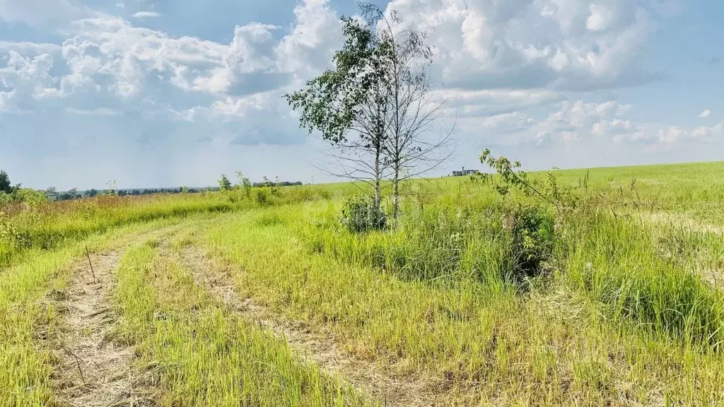 Участок в Тульская область, Новомосковск Сокольники мкр,  (13.5 сот.) - Фото 0