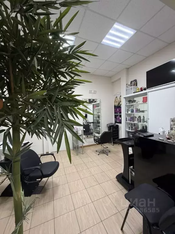 Помещение свободного назначения в Иркутская область, Иркутск ул. ... - Фото 2