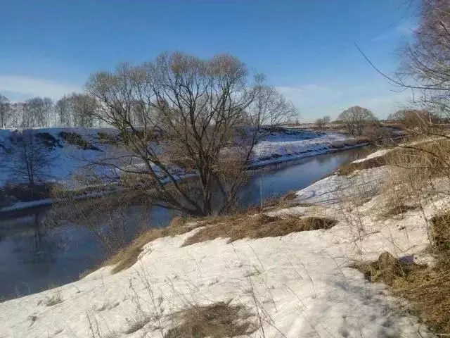 Участок в Московская область, Раменский городской округ, д. Васильево  ... - Фото 1