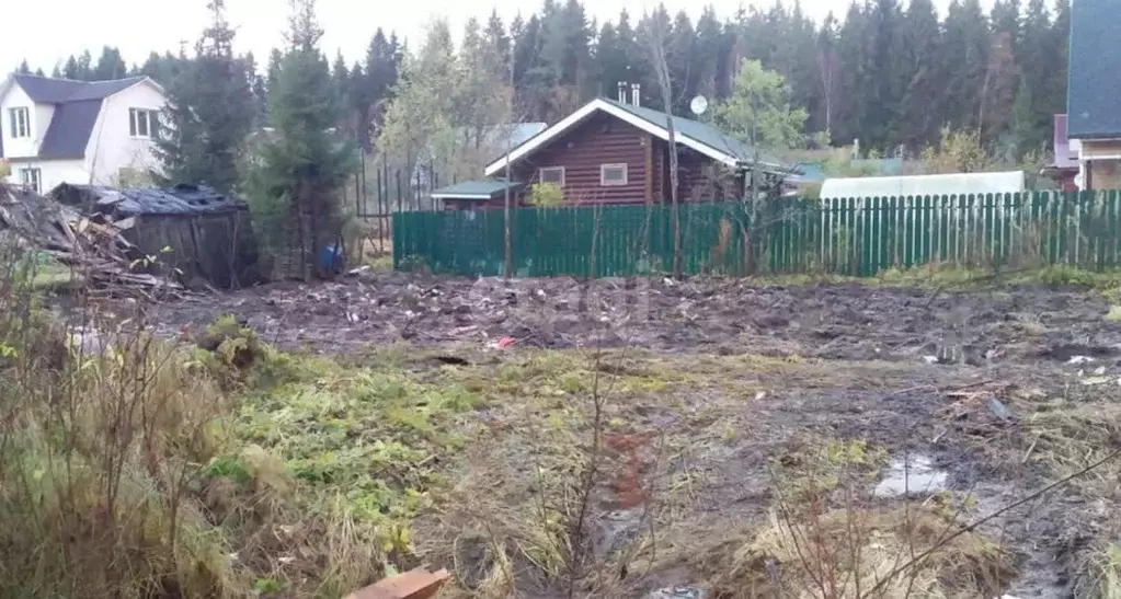 Участок в Ленинградская область, Выборгский район, Рощинское городское ... - Фото 1