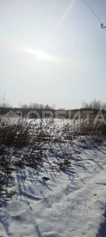 Участок в Тюменская область, Тюмень Ясень садовое товарищество,  (7.5 ... - Фото 1