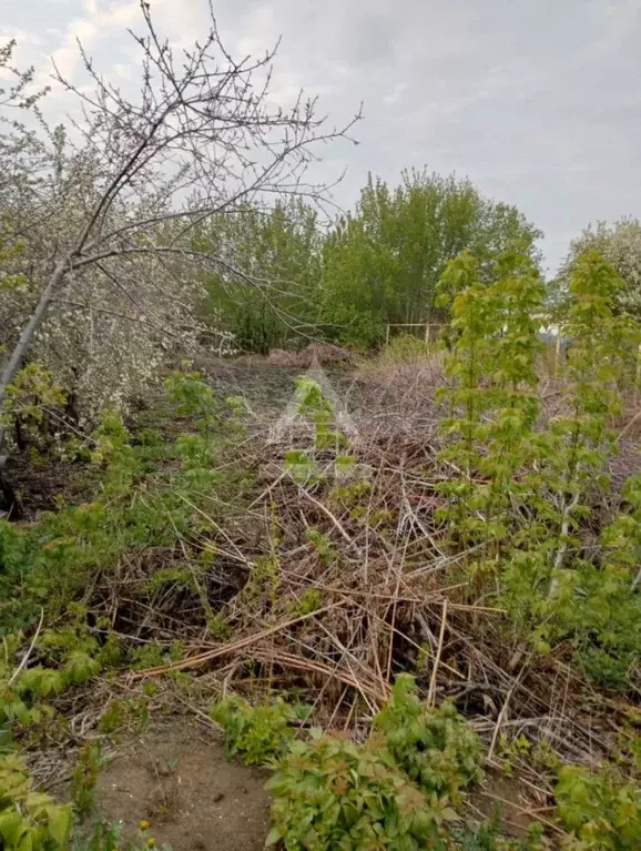 Участок в Челябинская область, Коркино ул. Чкалова (7.5 сот.) - Фото 1